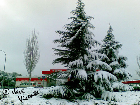 nieveenero09